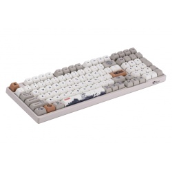 Клавиатура Akko 3098S RGB One Piece Calligraphy(Hotswappable) CS Jelly Blue RGB — изображение 4